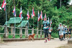 BIB: 
                            <button type="button" onclick="openModal(26943109)" class="btn btn-primary btn-sm float-right btn-popup" data-toggle="modal" data-target=".modal-high-quality">
                        <i class="fas fa-shopping-cart"></i> Add to Cart
                    </button>
                                            <button type="button" onclick="isThisMe(26943109, true)" class="btn btn-success btn-sm float-right btn-popup btn-isme hidden" data-toggle="tooltip" data-placement="bottom" title="นี่คือรูปของคุณใช่ไหม คลิกที่นี่เพื่อเอาเข้าอัลบั้ม">
                        <i class="fas fa-plus"></i> Add to album
                    </button>
                    <button type="button" onclick="isThisMe(26943109, false)" class="btn btn-warning btn-sm float-right btn-popup btn-isnotme hidden">
                        <i class="fas fa-ban"></i> Remove from album
                    </button>