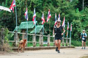 BIB: 
                            <button type="button" onclick="openModal(26943241)" class="btn btn-primary btn-sm float-right btn-popup" data-toggle="modal" data-target=".modal-high-quality">
                        <i class="fas fa-shopping-cart"></i> Add to Cart
                    </button>
                                            <button type="button" onclick="isThisMe(26943241, true)" class="btn btn-success btn-sm float-right btn-popup btn-isme hidden" data-toggle="tooltip" data-placement="bottom" title="นี่คือรูปของคุณใช่ไหม คลิกที่นี่เพื่อเอาเข้าอัลบั้ม">
                        <i class="fas fa-plus"></i> Add to album
                    </button>
                    <button type="button" onclick="isThisMe(26943241, false)" class="btn btn-warning btn-sm float-right btn-popup btn-isnotme hidden">
                        <i class="fas fa-ban"></i> Remove from album
                    </button>