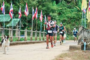 BIB: 
                            <button type="button" onclick="openModal(26944271)" class="btn btn-primary btn-sm float-right btn-popup" data-toggle="modal" data-target=".modal-high-quality">
                        <i class="fas fa-shopping-cart"></i> Add to Cart
                    </button>
                                            <button type="button" onclick="isThisMe(26944271, true)" class="btn btn-success btn-sm float-right btn-popup btn-isme hidden" data-toggle="tooltip" data-placement="bottom" title="นี่คือรูปของคุณใช่ไหม คลิกที่นี่เพื่อเอาเข้าอัลบั้ม">
                        <i class="fas fa-plus"></i> Add to album
                    </button>
                    <button type="button" onclick="isThisMe(26944271, false)" class="btn btn-warning btn-sm float-right btn-popup btn-isnotme hidden">
                        <i class="fas fa-ban"></i> Remove from album
                    </button>