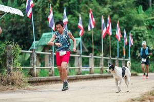 BIB: 
                            <button type="button" onclick="openModal(26943698)" class="btn btn-primary btn-sm float-right btn-popup" data-toggle="modal" data-target=".modal-high-quality">
                        <i class="fas fa-shopping-cart"></i> Add to Cart
                    </button>
                                            <button type="button" onclick="isThisMe(26943698, true)" class="btn btn-success btn-sm float-right btn-popup btn-isme hidden" data-toggle="tooltip" data-placement="bottom" title="นี่คือรูปของคุณใช่ไหม คลิกที่นี่เพื่อเอาเข้าอัลบั้ม">
                        <i class="fas fa-plus"></i> Add to album
                    </button>
                    <button type="button" onclick="isThisMe(26943698, false)" class="btn btn-warning btn-sm float-right btn-popup btn-isnotme hidden">
                        <i class="fas fa-ban"></i> Remove from album
                    </button>