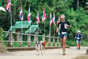 BIB: 
                            <button type="button" onclick="openModal(26943121)" class="btn btn-primary btn-sm float-right btn-popup" data-toggle="modal" data-target=".modal-high-quality">
                        <i class="fas fa-shopping-cart"></i> Add to Cart
                    </button>
                                            <button type="button" onclick="isThisMe(26943121, true)" class="btn btn-success btn-sm float-right btn-popup btn-isme hidden" data-toggle="tooltip" data-placement="bottom" title="นี่คือรูปของคุณใช่ไหม คลิกที่นี่เพื่อเอาเข้าอัลบั้ม">
                        <i class="fas fa-plus"></i> Add to album
                    </button>
                    <button type="button" onclick="isThisMe(26943121, false)" class="btn btn-warning btn-sm float-right btn-popup btn-isnotme hidden">
                        <i class="fas fa-ban"></i> Remove from album
                    </button>