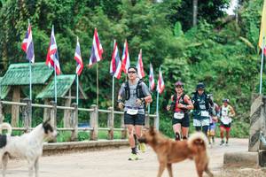 BIB: 
                            <button type="button" onclick="openModal(26943835)" class="btn btn-primary btn-sm float-right btn-popup" data-toggle="modal" data-target=".modal-high-quality">
                        <i class="fas fa-shopping-cart"></i> Add to Cart
                    </button>
                                            <button type="button" onclick="isThisMe(26943835, true)" class="btn btn-success btn-sm float-right btn-popup btn-isme hidden" data-toggle="tooltip" data-placement="bottom" title="นี่คือรูปของคุณใช่ไหม คลิกที่นี่เพื่อเอาเข้าอัลบั้ม">
                        <i class="fas fa-plus"></i> Add to album
                    </button>
                    <button type="button" onclick="isThisMe(26943835, false)" class="btn btn-warning btn-sm float-right btn-popup btn-isnotme hidden">
                        <i class="fas fa-ban"></i> Remove from album
                    </button>