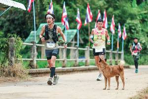 BIB: 
                            <button type="button" onclick="openModal(26943850)" class="btn btn-primary btn-sm float-right btn-popup" data-toggle="modal" data-target=".modal-high-quality">
                        <i class="fas fa-shopping-cart"></i> Add to Cart
                    </button>
                                            <button type="button" onclick="isThisMe(26943850, true)" class="btn btn-success btn-sm float-right btn-popup btn-isme hidden" data-toggle="tooltip" data-placement="bottom" title="นี่คือรูปของคุณใช่ไหม คลิกที่นี่เพื่อเอาเข้าอัลบั้ม">
                        <i class="fas fa-plus"></i> Add to album
                    </button>
                    <button type="button" onclick="isThisMe(26943850, false)" class="btn btn-warning btn-sm float-right btn-popup btn-isnotme hidden">
                        <i class="fas fa-ban"></i> Remove from album
                    </button>