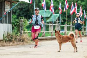 BIB: 
                            <button type="button" onclick="openModal(26943807)" class="btn btn-primary btn-sm float-right btn-popup" data-toggle="modal" data-target=".modal-high-quality">
                        <i class="fas fa-shopping-cart"></i> Add to Cart
                    </button>
                                            <button type="button" onclick="isThisMe(26943807, true)" class="btn btn-success btn-sm float-right btn-popup btn-isme hidden" data-toggle="tooltip" data-placement="bottom" title="นี่คือรูปของคุณใช่ไหม คลิกที่นี่เพื่อเอาเข้าอัลบั้ม">
                        <i class="fas fa-plus"></i> Add to album
                    </button>
                    <button type="button" onclick="isThisMe(26943807, false)" class="btn btn-warning btn-sm float-right btn-popup btn-isnotme hidden">
                        <i class="fas fa-ban"></i> Remove from album
                    </button>