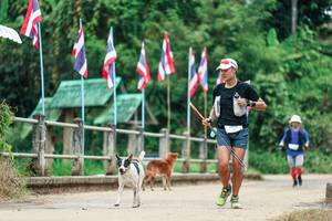 BIB: 
                            <button type="button" onclick="openModal(26943120)" class="btn btn-primary btn-sm float-right btn-popup" data-toggle="modal" data-target=".modal-high-quality">
                        <i class="fas fa-shopping-cart"></i> Add to Cart
                    </button>
                                            <button type="button" onclick="isThisMe(26943120, true)" class="btn btn-success btn-sm float-right btn-popup btn-isme hidden" data-toggle="tooltip" data-placement="bottom" title="นี่คือรูปของคุณใช่ไหม คลิกที่นี่เพื่อเอาเข้าอัลบั้ม">
                        <i class="fas fa-plus"></i> Add to album
                    </button>
                    <button type="button" onclick="isThisMe(26943120, false)" class="btn btn-warning btn-sm float-right btn-popup btn-isnotme hidden">
                        <i class="fas fa-ban"></i> Remove from album
                    </button>