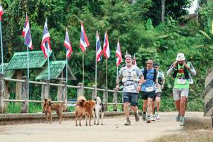 BIB: 
                            <button type="button" onclick="openModal(26942971)" class="btn btn-primary btn-sm float-right btn-popup" data-toggle="modal" data-target=".modal-high-quality">
                        <i class="fas fa-shopping-cart"></i> Add to Cart
                    </button>
                                            <button type="button" onclick="isThisMe(26942971, true)" class="btn btn-success btn-sm float-right btn-popup btn-isme hidden" data-toggle="tooltip" data-placement="bottom" title="นี่คือรูปของคุณใช่ไหม คลิกที่นี่เพื่อเอาเข้าอัลบั้ม">
                        <i class="fas fa-plus"></i> Add to album
                    </button>
                    <button type="button" onclick="isThisMe(26942971, false)" class="btn btn-warning btn-sm float-right btn-popup btn-isnotme hidden">
                        <i class="fas fa-ban"></i> Remove from album
                    </button>