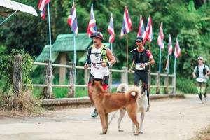 BIB: 
                            <button type="button" onclick="openModal(26943824)" class="btn btn-primary btn-sm float-right btn-popup" data-toggle="modal" data-target=".modal-high-quality">
                        <i class="fas fa-shopping-cart"></i> Add to Cart
                    </button>
                                            <button type="button" onclick="isThisMe(26943824, true)" class="btn btn-success btn-sm float-right btn-popup btn-isme hidden" data-toggle="tooltip" data-placement="bottom" title="นี่คือรูปของคุณใช่ไหม คลิกที่นี่เพื่อเอาเข้าอัลบั้ม">
                        <i class="fas fa-plus"></i> Add to album
                    </button>
                    <button type="button" onclick="isThisMe(26943824, false)" class="btn btn-warning btn-sm float-right btn-popup btn-isnotme hidden">
                        <i class="fas fa-ban"></i> Remove from album
                    </button>