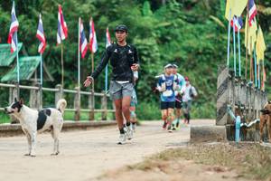 BIB: 
                            <button type="button" onclick="openModal(26943688)" class="btn btn-primary btn-sm float-right btn-popup" data-toggle="modal" data-target=".modal-high-quality">
                        <i class="fas fa-shopping-cart"></i> Add to Cart
                    </button>
                                            <button type="button" onclick="isThisMe(26943688, true)" class="btn btn-success btn-sm float-right btn-popup btn-isme hidden" data-toggle="tooltip" data-placement="bottom" title="นี่คือรูปของคุณใช่ไหม คลิกที่นี่เพื่อเอาเข้าอัลบั้ม">
                        <i class="fas fa-plus"></i> Add to album
                    </button>
                    <button type="button" onclick="isThisMe(26943688, false)" class="btn btn-warning btn-sm float-right btn-popup btn-isnotme hidden">
                        <i class="fas fa-ban"></i> Remove from album
                    </button>