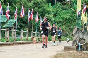 BIB: 
                            <button type="button" onclick="openModal(26944247)" class="btn btn-primary btn-sm float-right btn-popup" data-toggle="modal" data-target=".modal-high-quality">
                        <i class="fas fa-shopping-cart"></i> Add to Cart
                    </button>
                                            <button type="button" onclick="isThisMe(26944247, true)" class="btn btn-success btn-sm float-right btn-popup btn-isme hidden" data-toggle="tooltip" data-placement="bottom" title="นี่คือรูปของคุณใช่ไหม คลิกที่นี่เพื่อเอาเข้าอัลบั้ม">
                        <i class="fas fa-plus"></i> Add to album
                    </button>
                    <button type="button" onclick="isThisMe(26944247, false)" class="btn btn-warning btn-sm float-right btn-popup btn-isnotme hidden">
                        <i class="fas fa-ban"></i> Remove from album
                    </button>