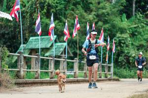 BIB: 
                            <button type="button" onclick="openModal(26943233)" class="btn btn-primary btn-sm float-right btn-popup" data-toggle="modal" data-target=".modal-high-quality">
                        <i class="fas fa-shopping-cart"></i> Add to Cart
                    </button>
                                            <button type="button" onclick="isThisMe(26943233, true)" class="btn btn-success btn-sm float-right btn-popup btn-isme hidden" data-toggle="tooltip" data-placement="bottom" title="นี่คือรูปของคุณใช่ไหม คลิกที่นี่เพื่อเอาเข้าอัลบั้ม">
                        <i class="fas fa-plus"></i> Add to album
                    </button>
                    <button type="button" onclick="isThisMe(26943233, false)" class="btn btn-warning btn-sm float-right btn-popup btn-isnotme hidden">
                        <i class="fas fa-ban"></i> Remove from album
                    </button>