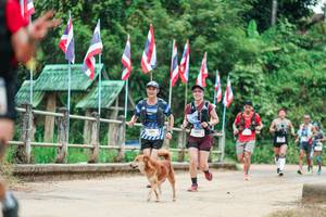 BIB: 
                            <button type="button" onclick="openModal(26943965)" class="btn btn-primary btn-sm float-right btn-popup" data-toggle="modal" data-target=".modal-high-quality">
                        <i class="fas fa-shopping-cart"></i> Add to Cart
                    </button>
                                            <button type="button" onclick="isThisMe(26943965, true)" class="btn btn-success btn-sm float-right btn-popup btn-isme hidden" data-toggle="tooltip" data-placement="bottom" title="นี่คือรูปของคุณใช่ไหม คลิกที่นี่เพื่อเอาเข้าอัลบั้ม">
                        <i class="fas fa-plus"></i> Add to album
                    </button>
                    <button type="button" onclick="isThisMe(26943965, false)" class="btn btn-warning btn-sm float-right btn-popup btn-isnotme hidden">
                        <i class="fas fa-ban"></i> Remove from album
                    </button>