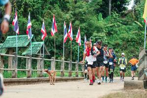 BIB: 
                            <button type="button" onclick="openModal(26943088)" class="btn btn-primary btn-sm float-right btn-popup" data-toggle="modal" data-target=".modal-high-quality">
                        <i class="fas fa-shopping-cart"></i> Add to Cart
                    </button>
                                            <button type="button" onclick="isThisMe(26943088, true)" class="btn btn-success btn-sm float-right btn-popup btn-isme hidden" data-toggle="tooltip" data-placement="bottom" title="นี่คือรูปของคุณใช่ไหม คลิกที่นี่เพื่อเอาเข้าอัลบั้ม">
                        <i class="fas fa-plus"></i> Add to album
                    </button>
                    <button type="button" onclick="isThisMe(26943088, false)" class="btn btn-warning btn-sm float-right btn-popup btn-isnotme hidden">
                        <i class="fas fa-ban"></i> Remove from album
                    </button>