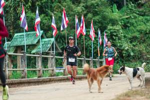 BIB: 
                            <button type="button" onclick="openModal(26943706)" class="btn btn-primary btn-sm float-right btn-popup" data-toggle="modal" data-target=".modal-high-quality">
                        <i class="fas fa-shopping-cart"></i> Add to Cart
                    </button>
                                            <button type="button" onclick="isThisMe(26943706, true)" class="btn btn-success btn-sm float-right btn-popup btn-isme hidden" data-toggle="tooltip" data-placement="bottom" title="นี่คือรูปของคุณใช่ไหม คลิกที่นี่เพื่อเอาเข้าอัลบั้ม">
                        <i class="fas fa-plus"></i> Add to album
                    </button>
                    <button type="button" onclick="isThisMe(26943706, false)" class="btn btn-warning btn-sm float-right btn-popup btn-isnotme hidden">
                        <i class="fas fa-ban"></i> Remove from album
                    </button>