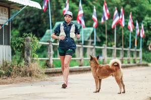 BIB: 
                            <button type="button" onclick="openModal(26943802)" class="btn btn-primary btn-sm float-right btn-popup" data-toggle="modal" data-target=".modal-high-quality">
                        <i class="fas fa-shopping-cart"></i> Add to Cart
                    </button>
                                            <button type="button" onclick="isThisMe(26943802, true)" class="btn btn-success btn-sm float-right btn-popup btn-isme hidden" data-toggle="tooltip" data-placement="bottom" title="นี่คือรูปของคุณใช่ไหม คลิกที่นี่เพื่อเอาเข้าอัลบั้ม">
                        <i class="fas fa-plus"></i> Add to album
                    </button>
                    <button type="button" onclick="isThisMe(26943802, false)" class="btn btn-warning btn-sm float-right btn-popup btn-isnotme hidden">
                        <i class="fas fa-ban"></i> Remove from album
                    </button>