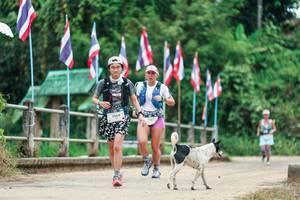 BIB: 
                            <button type="button" onclick="openModal(26943672)" class="btn btn-primary btn-sm float-right btn-popup" data-toggle="modal" data-target=".modal-high-quality">
                        <i class="fas fa-shopping-cart"></i> Add to Cart
                    </button>
                                            <button type="button" onclick="isThisMe(26943672, true)" class="btn btn-success btn-sm float-right btn-popup btn-isme hidden" data-toggle="tooltip" data-placement="bottom" title="นี่คือรูปของคุณใช่ไหม คลิกที่นี่เพื่อเอาเข้าอัลบั้ม">
                        <i class="fas fa-plus"></i> Add to album
                    </button>
                    <button type="button" onclick="isThisMe(26943672, false)" class="btn btn-warning btn-sm float-right btn-popup btn-isnotme hidden">
                        <i class="fas fa-ban"></i> Remove from album
                    </button>