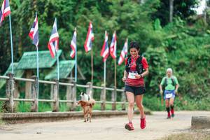 BIB: 
                            <button type="button" onclick="openModal(26942860)" class="btn btn-primary btn-sm float-right btn-popup" data-toggle="modal" data-target=".modal-high-quality">
                        <i class="fas fa-shopping-cart"></i> Add to Cart
                    </button>
                                            <button type="button" onclick="isThisMe(26942860, true)" class="btn btn-success btn-sm float-right btn-popup btn-isme hidden" data-toggle="tooltip" data-placement="bottom" title="นี่คือรูปของคุณใช่ไหม คลิกที่นี่เพื่อเอาเข้าอัลบั้ม">
                        <i class="fas fa-plus"></i> Add to album
                    </button>
                    <button type="button" onclick="isThisMe(26942860, false)" class="btn btn-warning btn-sm float-right btn-popup btn-isnotme hidden">
                        <i class="fas fa-ban"></i> Remove from album
                    </button>