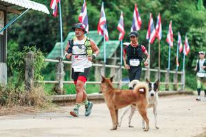 BIB: 
                            <button type="button" onclick="openModal(26943822)" class="btn btn-primary btn-sm float-right btn-popup" data-toggle="modal" data-target=".modal-high-quality">
                        <i class="fas fa-shopping-cart"></i> Add to Cart
                    </button>
                                            <button type="button" onclick="isThisMe(26943822, true)" class="btn btn-success btn-sm float-right btn-popup btn-isme hidden" data-toggle="tooltip" data-placement="bottom" title="นี่คือรูปของคุณใช่ไหม คลิกที่นี่เพื่อเอาเข้าอัลบั้ม">
                        <i class="fas fa-plus"></i> Add to album
                    </button>
                    <button type="button" onclick="isThisMe(26943822, false)" class="btn btn-warning btn-sm float-right btn-popup btn-isnotme hidden">
                        <i class="fas fa-ban"></i> Remove from album
                    </button>