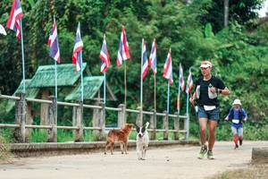 BIB: 
                            <button type="button" onclick="openModal(26943123)" class="btn btn-primary btn-sm float-right btn-popup" data-toggle="modal" data-target=".modal-high-quality">
                        <i class="fas fa-shopping-cart"></i> Add to Cart
                    </button>
                                            <button type="button" onclick="isThisMe(26943123, true)" class="btn btn-success btn-sm float-right btn-popup btn-isme hidden" data-toggle="tooltip" data-placement="bottom" title="นี่คือรูปของคุณใช่ไหม คลิกที่นี่เพื่อเอาเข้าอัลบั้ม">
                        <i class="fas fa-plus"></i> Add to album
                    </button>
                    <button type="button" onclick="isThisMe(26943123, false)" class="btn btn-warning btn-sm float-right btn-popup btn-isnotme hidden">
                        <i class="fas fa-ban"></i> Remove from album
                    </button>