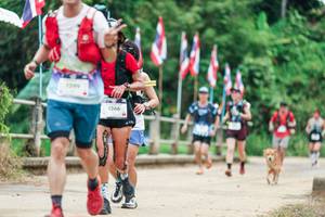 BIB: 
                            <button type="button" onclick="openModal(26943968)" class="btn btn-primary btn-sm float-right btn-popup" data-toggle="modal" data-target=".modal-high-quality">
                        <i class="fas fa-shopping-cart"></i> Add to Cart
                    </button>
                                            <button type="button" onclick="isThisMe(26943968, true)" class="btn btn-success btn-sm float-right btn-popup btn-isme hidden" data-toggle="tooltip" data-placement="bottom" title="นี่คือรูปของคุณใช่ไหม คลิกที่นี่เพื่อเอาเข้าอัลบั้ม">
                        <i class="fas fa-plus"></i> Add to album
                    </button>
                    <button type="button" onclick="isThisMe(26943968, false)" class="btn btn-warning btn-sm float-right btn-popup btn-isnotme hidden">
                        <i class="fas fa-ban"></i> Remove from album
                    </button>