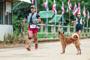 BIB: 
                            <button type="button" onclick="openModal(26943804)" class="btn btn-primary btn-sm float-right btn-popup" data-toggle="modal" data-target=".modal-high-quality">
                        <i class="fas fa-shopping-cart"></i> Add to Cart
                    </button>
                                            <button type="button" onclick="isThisMe(26943804, true)" class="btn btn-success btn-sm float-right btn-popup btn-isme hidden" data-toggle="tooltip" data-placement="bottom" title="นี่คือรูปของคุณใช่ไหม คลิกที่นี่เพื่อเอาเข้าอัลบั้ม">
                        <i class="fas fa-plus"></i> Add to album
                    </button>
                    <button type="button" onclick="isThisMe(26943804, false)" class="btn btn-warning btn-sm float-right btn-popup btn-isnotme hidden">
                        <i class="fas fa-ban"></i> Remove from album
                    </button>