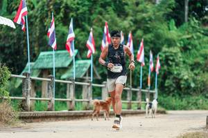 BIB: 
                            <button type="button" onclick="openModal(26943132)" class="btn btn-primary btn-sm float-right btn-popup" data-toggle="modal" data-target=".modal-high-quality">
                        <i class="fas fa-shopping-cart"></i> Add to Cart
                    </button>
                                            <button type="button" onclick="isThisMe(26943132, true)" class="btn btn-success btn-sm float-right btn-popup btn-isme hidden" data-toggle="tooltip" data-placement="bottom" title="นี่คือรูปของคุณใช่ไหม คลิกที่นี่เพื่อเอาเข้าอัลบั้ม">
                        <i class="fas fa-plus"></i> Add to album
                    </button>
                    <button type="button" onclick="isThisMe(26943132, false)" class="btn btn-warning btn-sm float-right btn-popup btn-isnotme hidden">
                        <i class="fas fa-ban"></i> Remove from album
                    </button>