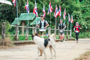 BIB: 
                            <button type="button" onclick="openModal(26943816)" class="btn btn-primary btn-sm float-right btn-popup" data-toggle="modal" data-target=".modal-high-quality">
                        <i class="fas fa-shopping-cart"></i> Add to Cart
                    </button>
                                            <button type="button" onclick="isThisMe(26943816, true)" class="btn btn-success btn-sm float-right btn-popup btn-isme hidden" data-toggle="tooltip" data-placement="bottom" title="นี่คือรูปของคุณใช่ไหม คลิกที่นี่เพื่อเอาเข้าอัลบั้ม">
                        <i class="fas fa-plus"></i> Add to album
                    </button>
                    <button type="button" onclick="isThisMe(26943816, false)" class="btn btn-warning btn-sm float-right btn-popup btn-isnotme hidden">
                        <i class="fas fa-ban"></i> Remove from album
                    </button>