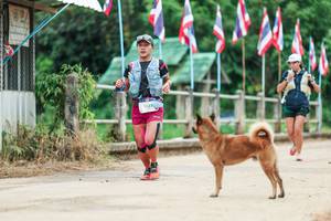 BIB: 
                            <button type="button" onclick="openModal(26943805)" class="btn btn-primary btn-sm float-right btn-popup" data-toggle="modal" data-target=".modal-high-quality">
                        <i class="fas fa-shopping-cart"></i> Add to Cart
                    </button>
                                            <button type="button" onclick="isThisMe(26943805, true)" class="btn btn-success btn-sm float-right btn-popup btn-isme hidden" data-toggle="tooltip" data-placement="bottom" title="นี่คือรูปของคุณใช่ไหม คลิกที่นี่เพื่อเอาเข้าอัลบั้ม">
                        <i class="fas fa-plus"></i> Add to album
                    </button>
                    <button type="button" onclick="isThisMe(26943805, false)" class="btn btn-warning btn-sm float-right btn-popup btn-isnotme hidden">
                        <i class="fas fa-ban"></i> Remove from album
                    </button>