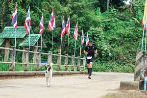 BIB: 
                            <button type="button" onclick="openModal(26944086)" class="btn btn-primary btn-sm float-right btn-popup" data-toggle="modal" data-target=".modal-high-quality">
                        <i class="fas fa-shopping-cart"></i> Add to Cart
                    </button>
                                            <button type="button" onclick="isThisMe(26944086, true)" class="btn btn-success btn-sm float-right btn-popup btn-isme hidden" data-toggle="tooltip" data-placement="bottom" title="นี่คือรูปของคุณใช่ไหม คลิกที่นี่เพื่อเอาเข้าอัลบั้ม">
                        <i class="fas fa-plus"></i> Add to album
                    </button>
                    <button type="button" onclick="isThisMe(26944086, false)" class="btn btn-warning btn-sm float-right btn-popup btn-isnotme hidden">
                        <i class="fas fa-ban"></i> Remove from album
                    </button>