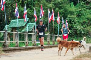 BIB: 
                            <button type="button" onclick="openModal(26943707)" class="btn btn-primary btn-sm float-right btn-popup" data-toggle="modal" data-target=".modal-high-quality">
                        <i class="fas fa-shopping-cart"></i> Add to Cart
                    </button>
                                            <button type="button" onclick="isThisMe(26943707, true)" class="btn btn-success btn-sm float-right btn-popup btn-isme hidden" data-toggle="tooltip" data-placement="bottom" title="นี่คือรูปของคุณใช่ไหม คลิกที่นี่เพื่อเอาเข้าอัลบั้ม">
                        <i class="fas fa-plus"></i> Add to album
                    </button>
                    <button type="button" onclick="isThisMe(26943707, false)" class="btn btn-warning btn-sm float-right btn-popup btn-isnotme hidden">
                        <i class="fas fa-ban"></i> Remove from album
                    </button>