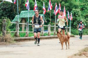 BIB: 
                            <button type="button" onclick="openModal(26943851)" class="btn btn-primary btn-sm float-right btn-popup" data-toggle="modal" data-target=".modal-high-quality">
                        <i class="fas fa-shopping-cart"></i> Add to Cart
                    </button>
                                            <button type="button" onclick="isThisMe(26943851, true)" class="btn btn-success btn-sm float-right btn-popup btn-isme hidden" data-toggle="tooltip" data-placement="bottom" title="นี่คือรูปของคุณใช่ไหม คลิกที่นี่เพื่อเอาเข้าอัลบั้ม">
                        <i class="fas fa-plus"></i> Add to album
                    </button>
                    <button type="button" onclick="isThisMe(26943851, false)" class="btn btn-warning btn-sm float-right btn-popup btn-isnotme hidden">
                        <i class="fas fa-ban"></i> Remove from album
                    </button>