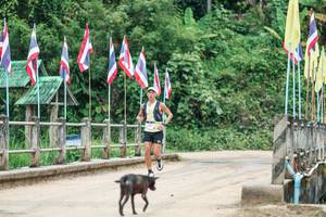 BIB: 
                            <button type="button" onclick="openModal(26945027)" class="btn btn-primary btn-sm float-right btn-popup" data-toggle="modal" data-target=".modal-high-quality">
                        <i class="fas fa-shopping-cart"></i> Add to Cart
                    </button>
                                            <button type="button" onclick="isThisMe(26945027, true)" class="btn btn-success btn-sm float-right btn-popup btn-isme hidden" data-toggle="tooltip" data-placement="bottom" title="นี่คือรูปของคุณใช่ไหม คลิกที่นี่เพื่อเอาเข้าอัลบั้ม">
                        <i class="fas fa-plus"></i> Add to album
                    </button>
                    <button type="button" onclick="isThisMe(26945027, false)" class="btn btn-warning btn-sm float-right btn-popup btn-isnotme hidden">
                        <i class="fas fa-ban"></i> Remove from album
                    </button>