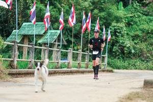 BIB: 
                            <button type="button" onclick="openModal(26944085)" class="btn btn-primary btn-sm float-right btn-popup" data-toggle="modal" data-target=".modal-high-quality">
                        <i class="fas fa-shopping-cart"></i> Add to Cart
                    </button>
                                            <button type="button" onclick="isThisMe(26944085, true)" class="btn btn-success btn-sm float-right btn-popup btn-isme hidden" data-toggle="tooltip" data-placement="bottom" title="นี่คือรูปของคุณใช่ไหม คลิกที่นี่เพื่อเอาเข้าอัลบั้ม">
                        <i class="fas fa-plus"></i> Add to album
                    </button>
                    <button type="button" onclick="isThisMe(26944085, false)" class="btn btn-warning btn-sm float-right btn-popup btn-isnotme hidden">
                        <i class="fas fa-ban"></i> Remove from album
                    </button>