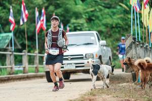 BIB: 
                            <button type="button" onclick="openModal(26943738)" class="btn btn-primary btn-sm float-right btn-popup" data-toggle="modal" data-target=".modal-high-quality">
                        <i class="fas fa-shopping-cart"></i> Add to Cart
                    </button>
                                            <button type="button" onclick="isThisMe(26943738, true)" class="btn btn-success btn-sm float-right btn-popup btn-isme hidden" data-toggle="tooltip" data-placement="bottom" title="นี่คือรูปของคุณใช่ไหม คลิกที่นี่เพื่อเอาเข้าอัลบั้ม">
                        <i class="fas fa-plus"></i> Add to album
                    </button>
                    <button type="button" onclick="isThisMe(26943738, false)" class="btn btn-warning btn-sm float-right btn-popup btn-isnotme hidden">
                        <i class="fas fa-ban"></i> Remove from album
                    </button>