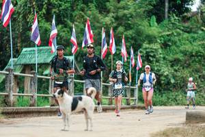 BIB: 
                            <button type="button" onclick="openModal(26943678)" class="btn btn-primary btn-sm float-right btn-popup" data-toggle="modal" data-target=".modal-high-quality">
                        <i class="fas fa-shopping-cart"></i> Add to Cart
                    </button>
                                            <button type="button" onclick="isThisMe(26943678, true)" class="btn btn-success btn-sm float-right btn-popup btn-isme hidden" data-toggle="tooltip" data-placement="bottom" title="นี่คือรูปของคุณใช่ไหม คลิกที่นี่เพื่อเอาเข้าอัลบั้ม">
                        <i class="fas fa-plus"></i> Add to album
                    </button>
                    <button type="button" onclick="isThisMe(26943678, false)" class="btn btn-warning btn-sm float-right btn-popup btn-isnotme hidden">
                        <i class="fas fa-ban"></i> Remove from album
                    </button>