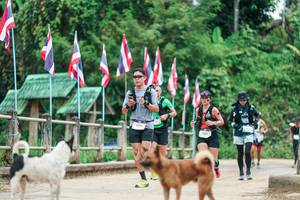 BIB: 
                            <button type="button" onclick="openModal(26943834)" class="btn btn-primary btn-sm float-right btn-popup" data-toggle="modal" data-target=".modal-high-quality">
                        <i class="fas fa-shopping-cart"></i> Add to Cart
                    </button>
                                            <button type="button" onclick="isThisMe(26943834, true)" class="btn btn-success btn-sm float-right btn-popup btn-isme hidden" data-toggle="tooltip" data-placement="bottom" title="นี่คือรูปของคุณใช่ไหม คลิกที่นี่เพื่อเอาเข้าอัลบั้ม">
                        <i class="fas fa-plus"></i> Add to album
                    </button>
                    <button type="button" onclick="isThisMe(26943834, false)" class="btn btn-warning btn-sm float-right btn-popup btn-isnotme hidden">
                        <i class="fas fa-ban"></i> Remove from album
                    </button>