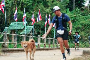 BIB: 
                            <button type="button" onclick="openModal(26943227)" class="btn btn-primary btn-sm float-right btn-popup" data-toggle="modal" data-target=".modal-high-quality">
                        <i class="fas fa-shopping-cart"></i> Add to Cart
                    </button>
                                            <button type="button" onclick="isThisMe(26943227, true)" class="btn btn-success btn-sm float-right btn-popup btn-isme hidden" data-toggle="tooltip" data-placement="bottom" title="นี่คือรูปของคุณใช่ไหม คลิกที่นี่เพื่อเอาเข้าอัลบั้ม">
                        <i class="fas fa-plus"></i> Add to album
                    </button>
                    <button type="button" onclick="isThisMe(26943227, false)" class="btn btn-warning btn-sm float-right btn-popup btn-isnotme hidden">
                        <i class="fas fa-ban"></i> Remove from album
                    </button>