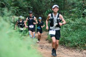 BIB: 
                            <button type="button" onclick="openModal(26928954)" class="btn btn-primary btn-sm float-right btn-popup" data-toggle="modal" data-target=".modal-high-quality">
                        <i class="fas fa-shopping-cart"></i> Add to Cart
                    </button>
                                            <button type="button" onclick="isThisMe(26928954, true)" class="btn btn-success btn-sm float-right btn-popup btn-isme hidden" data-toggle="tooltip" data-placement="bottom" title="นี่คือรูปของคุณใช่ไหม คลิกที่นี่เพื่อเอาเข้าอัลบั้ม">
                        <i class="fas fa-plus"></i> Add to album
                    </button>
                    <button type="button" onclick="isThisMe(26928954, false)" class="btn btn-warning btn-sm float-right btn-popup btn-isnotme hidden">
                        <i class="fas fa-ban"></i> Remove from album
                    </button>