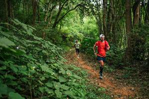 BIB: 
                            <button type="button" onclick="openModal(26803721)" class="btn btn-primary btn-sm float-right btn-popup" data-toggle="modal" data-target=".modal-high-quality">
                        <i class="fas fa-shopping-cart"></i> Add to Cart
                    </button>
                                            <button type="button" onclick="isThisMe(26803721, true)" class="btn btn-success btn-sm float-right btn-popup btn-isme hidden" data-toggle="tooltip" data-placement="bottom" title="นี่คือรูปของคุณใช่ไหม คลิกที่นี่เพื่อเอาเข้าอัลบั้ม">
                        <i class="fas fa-plus"></i> Add to album
                    </button>
                    <button type="button" onclick="isThisMe(26803721, false)" class="btn btn-warning btn-sm float-right btn-popup btn-isnotme hidden">
                        <i class="fas fa-ban"></i> Remove from album
                    </button>