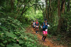 BIB: 
                            <button type="button" onclick="openModal(26802604)" class="btn btn-primary btn-sm float-right btn-popup" data-toggle="modal" data-target=".modal-high-quality">
                        <i class="fas fa-shopping-cart"></i> Add to Cart
                    </button>
                                            <button type="button" onclick="isThisMe(26802604, true)" class="btn btn-success btn-sm float-right btn-popup btn-isme hidden" data-toggle="tooltip" data-placement="bottom" title="นี่คือรูปของคุณใช่ไหม คลิกที่นี่เพื่อเอาเข้าอัลบั้ม">
                        <i class="fas fa-plus"></i> Add to album
                    </button>
                    <button type="button" onclick="isThisMe(26802604, false)" class="btn btn-warning btn-sm float-right btn-popup btn-isnotme hidden">
                        <i class="fas fa-ban"></i> Remove from album
                    </button>