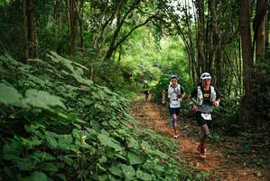 BIB: 
                            <button type="button" onclick="openModal(26803945)" class="btn btn-primary btn-sm float-right btn-popup" data-toggle="modal" data-target=".modal-high-quality">
                        <i class="fas fa-shopping-cart"></i> Add to Cart
                    </button>
                                            <button type="button" onclick="isThisMe(26803945, true)" class="btn btn-success btn-sm float-right btn-popup btn-isme hidden" data-toggle="tooltip" data-placement="bottom" title="นี่คือรูปของคุณใช่ไหม คลิกที่นี่เพื่อเอาเข้าอัลบั้ม">
                        <i class="fas fa-plus"></i> Add to album
                    </button>
                    <button type="button" onclick="isThisMe(26803945, false)" class="btn btn-warning btn-sm float-right btn-popup btn-isnotme hidden">
                        <i class="fas fa-ban"></i> Remove from album
                    </button>