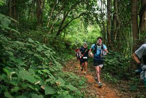 BIB: 
                            <button type="button" onclick="openModal(26802228)" class="btn btn-primary btn-sm float-right btn-popup" data-toggle="modal" data-target=".modal-high-quality">
                        <i class="fas fa-shopping-cart"></i> Add to Cart
                    </button>
                                            <button type="button" onclick="isThisMe(26802228, true)" class="btn btn-success btn-sm float-right btn-popup btn-isme hidden" data-toggle="tooltip" data-placement="bottom" title="นี่คือรูปของคุณใช่ไหม คลิกที่นี่เพื่อเอาเข้าอัลบั้ม">
                        <i class="fas fa-plus"></i> Add to album
                    </button>
                    <button type="button" onclick="isThisMe(26802228, false)" class="btn btn-warning btn-sm float-right btn-popup btn-isnotme hidden">
                        <i class="fas fa-ban"></i> Remove from album
                    </button>