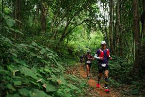 BIB: 
                            <button type="button" onclick="openModal(26801685)" class="btn btn-primary btn-sm float-right btn-popup" data-toggle="modal" data-target=".modal-high-quality">
                        <i class="fas fa-shopping-cart"></i> Add to Cart
                    </button>
                                            <button type="button" onclick="isThisMe(26801685, true)" class="btn btn-success btn-sm float-right btn-popup btn-isme hidden" data-toggle="tooltip" data-placement="bottom" title="นี่คือรูปของคุณใช่ไหม คลิกที่นี่เพื่อเอาเข้าอัลบั้ม">
                        <i class="fas fa-plus"></i> Add to album
                    </button>
                    <button type="button" onclick="isThisMe(26801685, false)" class="btn btn-warning btn-sm float-right btn-popup btn-isnotme hidden">
                        <i class="fas fa-ban"></i> Remove from album
                    </button>