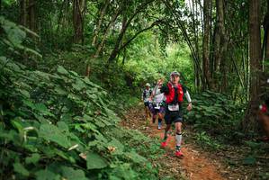 BIB: 
                            <button type="button" onclick="openModal(26802309)" class="btn btn-primary btn-sm float-right btn-popup" data-toggle="modal" data-target=".modal-high-quality">
                        <i class="fas fa-shopping-cart"></i> Add to Cart
                    </button>
                                            <button type="button" onclick="isThisMe(26802309, true)" class="btn btn-success btn-sm float-right btn-popup btn-isme hidden" data-toggle="tooltip" data-placement="bottom" title="นี่คือรูปของคุณใช่ไหม คลิกที่นี่เพื่อเอาเข้าอัลบั้ม">
                        <i class="fas fa-plus"></i> Add to album
                    </button>
                    <button type="button" onclick="isThisMe(26802309, false)" class="btn btn-warning btn-sm float-right btn-popup btn-isnotme hidden">
                        <i class="fas fa-ban"></i> Remove from album
                    </button>