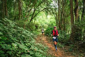 BIB: 
                            <button type="button" onclick="openModal(26803923)" class="btn btn-primary btn-sm float-right btn-popup" data-toggle="modal" data-target=".modal-high-quality">
                        <i class="fas fa-shopping-cart"></i> Add to Cart
                    </button>
                                            <button type="button" onclick="isThisMe(26803923, true)" class="btn btn-success btn-sm float-right btn-popup btn-isme hidden" data-toggle="tooltip" data-placement="bottom" title="นี่คือรูปของคุณใช่ไหม คลิกที่นี่เพื่อเอาเข้าอัลบั้ม">
                        <i class="fas fa-plus"></i> Add to album
                    </button>
                    <button type="button" onclick="isThisMe(26803923, false)" class="btn btn-warning btn-sm float-right btn-popup btn-isnotme hidden">
                        <i class="fas fa-ban"></i> Remove from album
                    </button>