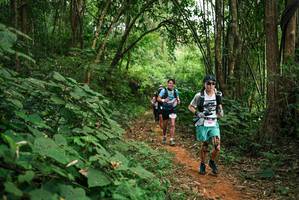 BIB: 
                            <button type="button" onclick="openModal(26802236)" class="btn btn-primary btn-sm float-right btn-popup" data-toggle="modal" data-target=".modal-high-quality">
                        <i class="fas fa-shopping-cart"></i> Add to Cart
                    </button>
                                            <button type="button" onclick="isThisMe(26802236, true)" class="btn btn-success btn-sm float-right btn-popup btn-isme hidden" data-toggle="tooltip" data-placement="bottom" title="นี่คือรูปของคุณใช่ไหม คลิกที่นี่เพื่อเอาเข้าอัลบั้ม">
                        <i class="fas fa-plus"></i> Add to album
                    </button>
                    <button type="button" onclick="isThisMe(26802236, false)" class="btn btn-warning btn-sm float-right btn-popup btn-isnotme hidden">
                        <i class="fas fa-ban"></i> Remove from album
                    </button>