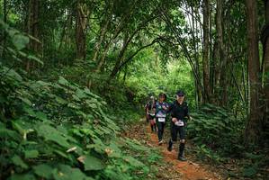 BIB: 
                            <button type="button" onclick="openModal(26801759)" class="btn btn-primary btn-sm float-right btn-popup" data-toggle="modal" data-target=".modal-high-quality">
                        <i class="fas fa-shopping-cart"></i> Add to Cart
                    </button>
                                            <button type="button" onclick="isThisMe(26801759, true)" class="btn btn-success btn-sm float-right btn-popup btn-isme hidden" data-toggle="tooltip" data-placement="bottom" title="นี่คือรูปของคุณใช่ไหม คลิกที่นี่เพื่อเอาเข้าอัลบั้ม">
                        <i class="fas fa-plus"></i> Add to album
                    </button>
                    <button type="button" onclick="isThisMe(26801759, false)" class="btn btn-warning btn-sm float-right btn-popup btn-isnotme hidden">
                        <i class="fas fa-ban"></i> Remove from album
                    </button>