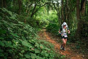 BIB: 
                            <button type="button" onclick="openModal(26803577)" class="btn btn-primary btn-sm float-right btn-popup" data-toggle="modal" data-target=".modal-high-quality">
                        <i class="fas fa-shopping-cart"></i> Add to Cart
                    </button>
                                            <button type="button" onclick="isThisMe(26803577, true)" class="btn btn-success btn-sm float-right btn-popup btn-isme hidden" data-toggle="tooltip" data-placement="bottom" title="นี่คือรูปของคุณใช่ไหม คลิกที่นี่เพื่อเอาเข้าอัลบั้ม">
                        <i class="fas fa-plus"></i> Add to album
                    </button>
                    <button type="button" onclick="isThisMe(26803577, false)" class="btn btn-warning btn-sm float-right btn-popup btn-isnotme hidden">
                        <i class="fas fa-ban"></i> Remove from album
                    </button>