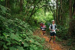 BIB: 
                            <button type="button" onclick="openModal(26802289)" class="btn btn-primary btn-sm float-right btn-popup" data-toggle="modal" data-target=".modal-high-quality">
                        <i class="fas fa-shopping-cart"></i> Add to Cart
                    </button>
                                            <button type="button" onclick="isThisMe(26802289, true)" class="btn btn-success btn-sm float-right btn-popup btn-isme hidden" data-toggle="tooltip" data-placement="bottom" title="นี่คือรูปของคุณใช่ไหม คลิกที่นี่เพื่อเอาเข้าอัลบั้ม">
                        <i class="fas fa-plus"></i> Add to album
                    </button>
                    <button type="button" onclick="isThisMe(26802289, false)" class="btn btn-warning btn-sm float-right btn-popup btn-isnotme hidden">
                        <i class="fas fa-ban"></i> Remove from album
                    </button>