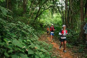 BIB: 
                            <button type="button" onclick="openModal(26802284)" class="btn btn-primary btn-sm float-right btn-popup" data-toggle="modal" data-target=".modal-high-quality">
                        <i class="fas fa-shopping-cart"></i> Add to Cart
                    </button>
                                            <button type="button" onclick="isThisMe(26802284, true)" class="btn btn-success btn-sm float-right btn-popup btn-isme hidden" data-toggle="tooltip" data-placement="bottom" title="นี่คือรูปของคุณใช่ไหม คลิกที่นี่เพื่อเอาเข้าอัลบั้ม">
                        <i class="fas fa-plus"></i> Add to album
                    </button>
                    <button type="button" onclick="isThisMe(26802284, false)" class="btn btn-warning btn-sm float-right btn-popup btn-isnotme hidden">
                        <i class="fas fa-ban"></i> Remove from album
                    </button>