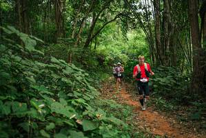 BIB: 
                            <button type="button" onclick="openModal(26803304)" class="btn btn-primary btn-sm float-right btn-popup" data-toggle="modal" data-target=".modal-high-quality">
                        <i class="fas fa-shopping-cart"></i> Add to Cart
                    </button>
                                            <button type="button" onclick="isThisMe(26803304, true)" class="btn btn-success btn-sm float-right btn-popup btn-isme hidden" data-toggle="tooltip" data-placement="bottom" title="นี่คือรูปของคุณใช่ไหม คลิกที่นี่เพื่อเอาเข้าอัลบั้ม">
                        <i class="fas fa-plus"></i> Add to album
                    </button>
                    <button type="button" onclick="isThisMe(26803304, false)" class="btn btn-warning btn-sm float-right btn-popup btn-isnotme hidden">
                        <i class="fas fa-ban"></i> Remove from album
                    </button>